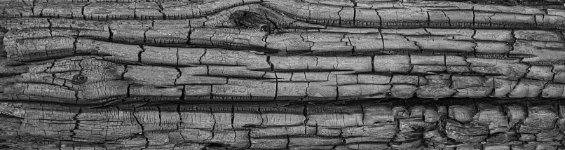 Background in the form of a texture fragment of an old burnt wood.