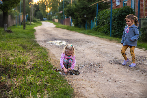 Little children girls friends playing together on countryside road with cat concept for happy carefree childhood and friendship