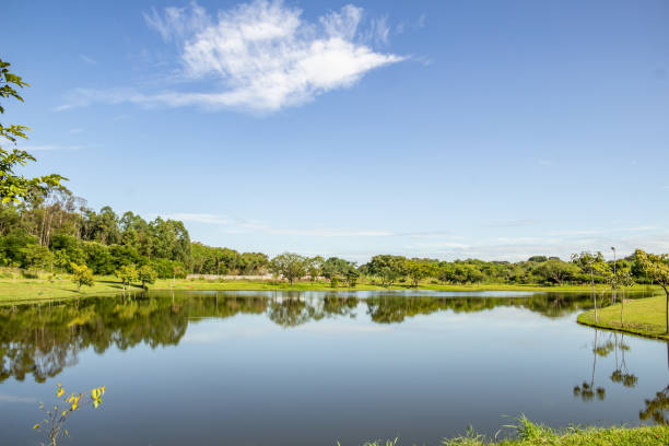 istock Leolidio di Ramos Caiado Park. 1383550765