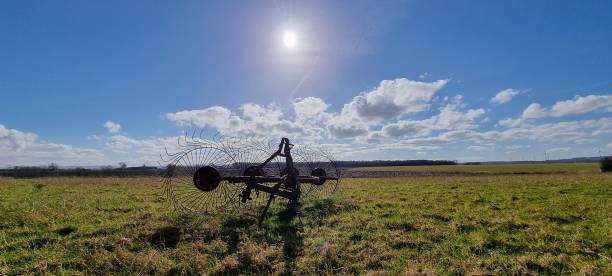 Airth Rural 120+ Fergusson Stock Photos, Pictures & Royalty-Free Images - iStock