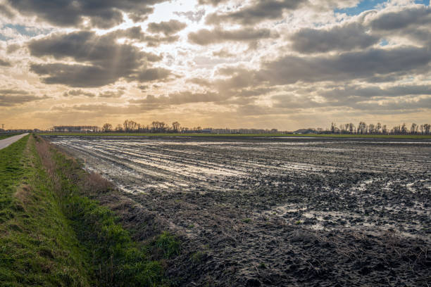 istock Sunbeams through the clouds over a soggy field 1383552643