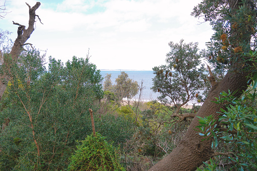 A view looking out over Port Philip Bay from the Mornington Peninsular