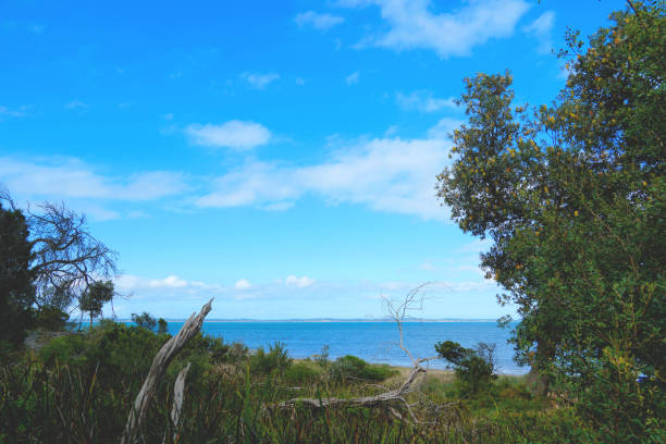 Mangawhai Heads Beach, North Island, New Zealand, Oceania.  Sentinel Rock in the background. View from Mangawhai Cliff Walk, North Island.