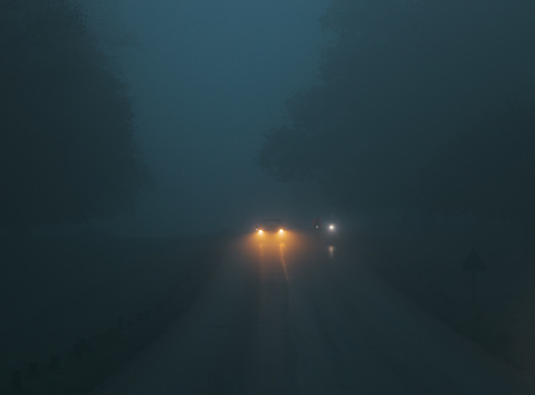 Scene of some vehicles are driving down a road with fog headlights on at night in the fog with spooky trees and a darkened blue sky in London, England, United Kingdom