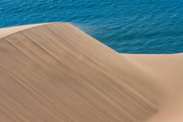 Namibia, the Namib desert, landscape of yellow dunes falling into the sea, the wind blowing on the sand
