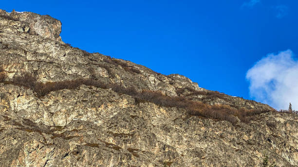 istock Chugach Mountains - Dall sheep on the Rocky Cliffs 1383559611