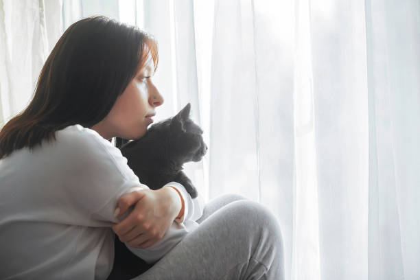 people and pets cats stock photo