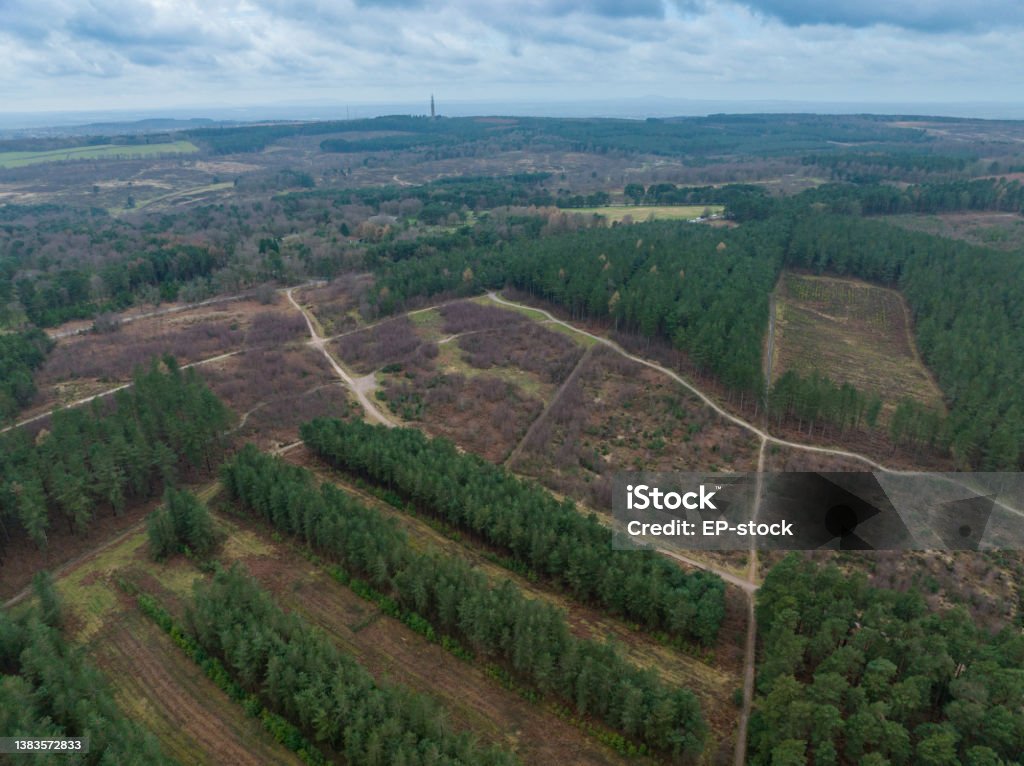 Aerial view of Cannock Chase at sunrise Drone shot of Cannock Chase Area of Outstanding Natural Beauty, Staffordshire, England Cannock Chase Stock Photo