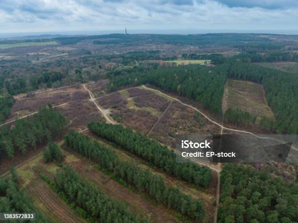 Aerial View Of Cannock Chase At Sunrise Stock Photo - Download Image Now - Cannock Chase, Above, Aerial View