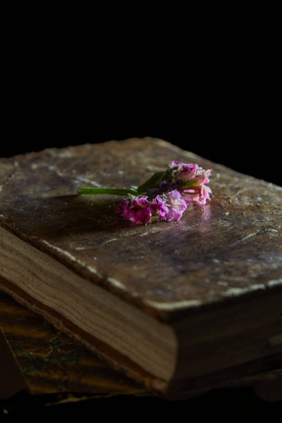 Old books with some mauve flowers. Vertical photography. Copyspace. Selective focus.