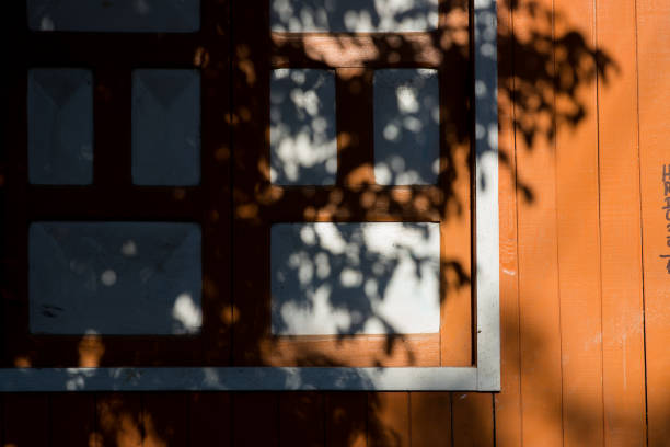 istock tree shadow on the facade of a house 1383589857