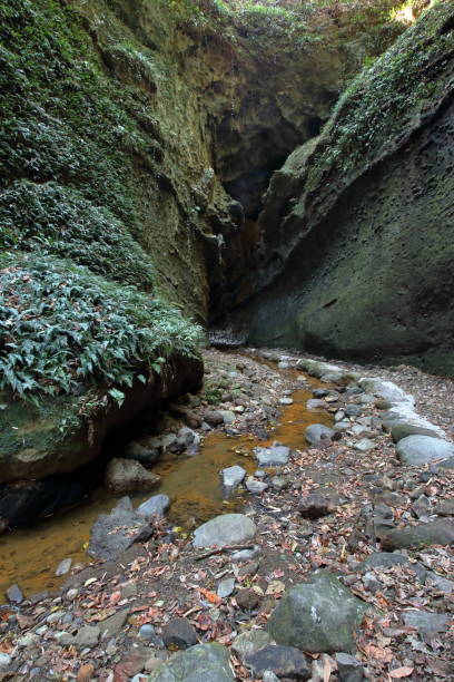 Ioki Cave,Natural landscape,Winter (Aki City, Kochi Prefecture)