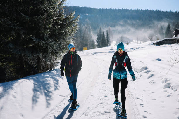 istock Group of people snowshoeing 1383603002