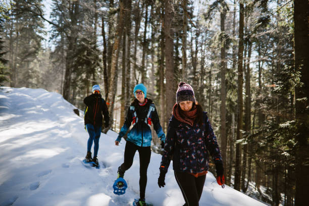 snowshoeing através da floresta montanhosa - snowshoeing winter sport snowshoe hiking - fotografias e filmes do acervo