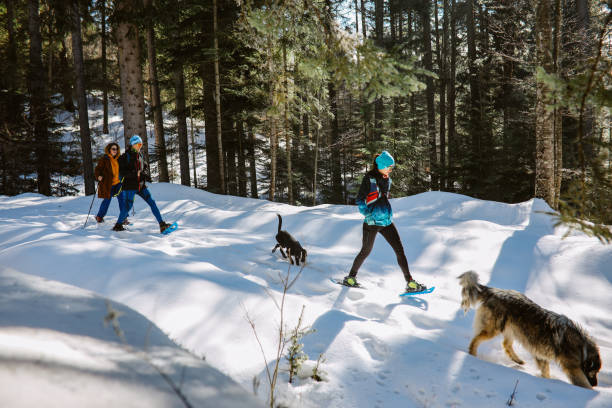 schneeschuhwandern durch den bergwald - winter snowshoeing running snowshoe stock-fotos und bilder