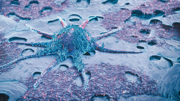 раковые злокачественные клетки - cancer cell cell cancer human cell стоковые фото и изображения