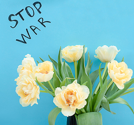 Yellow tulips on a blue background with a black inscription stop war. The concept of the war between Russia and Ukraine