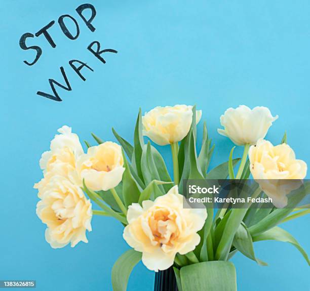 Yellow Tulips On A Blue Background With A Black Inscription Stop War The Concept Of The War Between Russia And Ukraine Stock Photo - Download Image Now