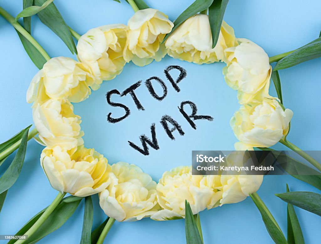 Yellow tulips on a blue background with a black inscription stop war. The concept of the war between Russia and Ukraine Assistance Stock Photo