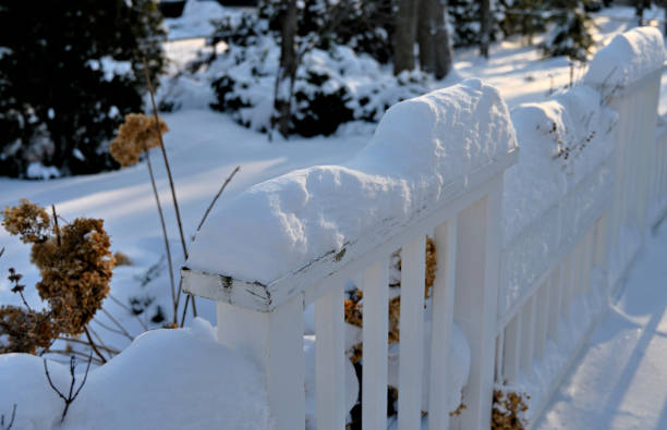istock Morning Sun on Snow 1383627124