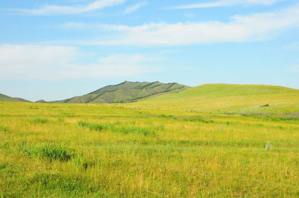istock A mountain range on the edge of the endless steppe under a summer sunny sky. 1383680332