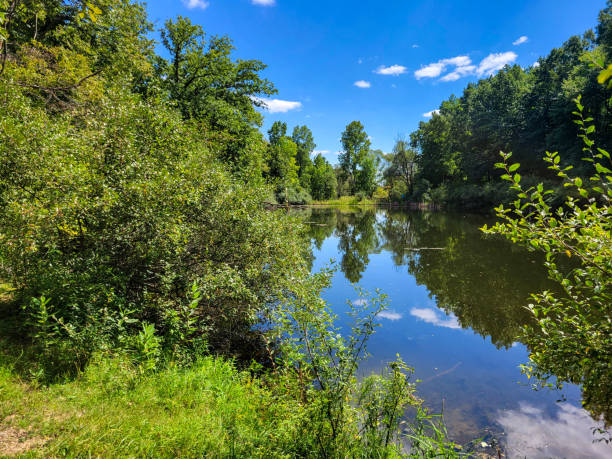 istock landscape with trees and lake 1383692700