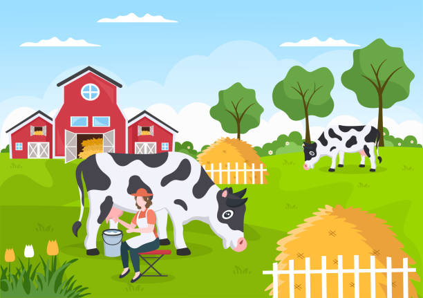 농부들은 녹색 초원의 전경이나 일러스트 플랫 스타일로 농장에서 우유를 생산하거나 얻기 위해 젖소를 짜고 있습니다. - ohtani stock illustrations