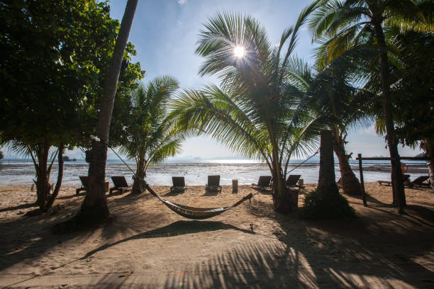 istock Koh Yao Noi Island 1383697987