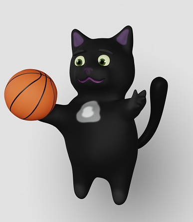 3D render of Basketball and Cat