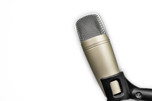 istock Professional studio condenser microphone for voice recording on white background. 1383709191