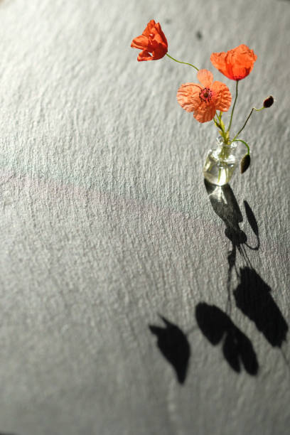 istock Bouquet of poppies casts a shadow on the black stone surface. 1383713682