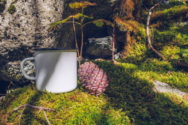 Enamel white mug on the mossy ground with cedar cone forest mockup. Trekking merchandise and camping geer marketing photo. Stock wildwood photo with white metal cup. Rustic scene, product template. stock photo