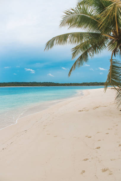 istock Tropical beach in Indonesia 1383784135