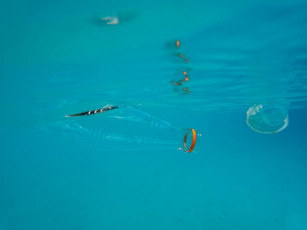 istock Underwater shot of plastic in the water 1383784656