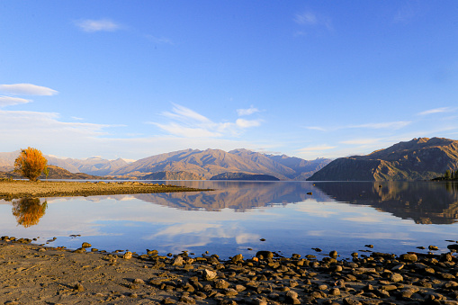 Golden glow in an early Autumn morning. Reflections on Lake Wanaka, around the corner from Bremnar bay.