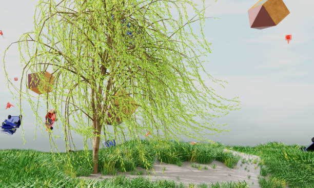 obraz płaczącej wierzby, która lithely przechodzi silne wiatry - willow leaf weeping willow willow tree tree zdjęcia i obrazy z banku zdjęć