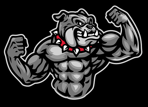 vector of Bulldog Mascot Logo with Big Bodybuilder Body