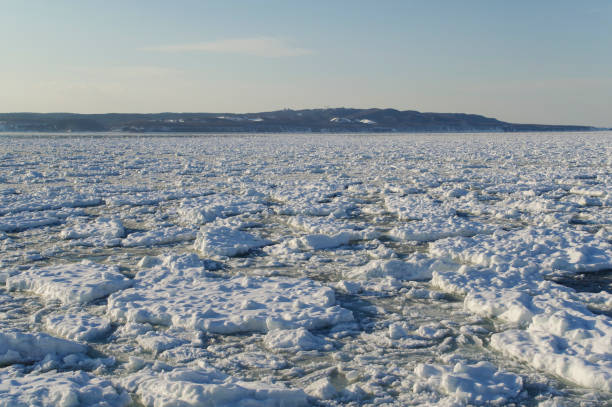 istock Sea of drift ice 1383819926