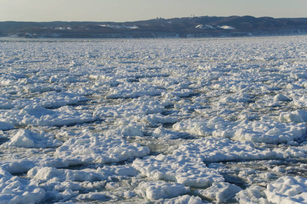 istock Sea of drift ice 1383820583