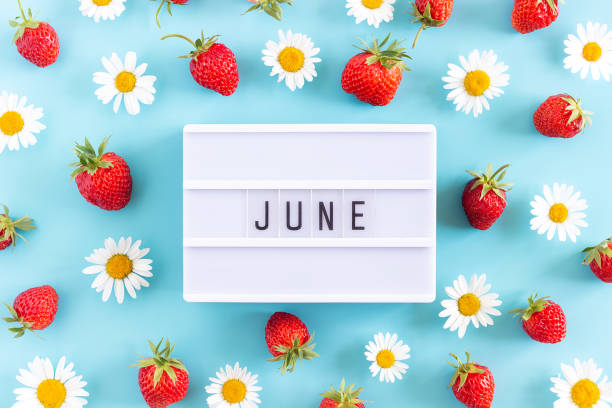 Summer month June text on light box and strawberry, chamomile flowers on blue background. Top view Flat lay. Creative concept Hello June. Top view, Flat lay, greeting card stock photo