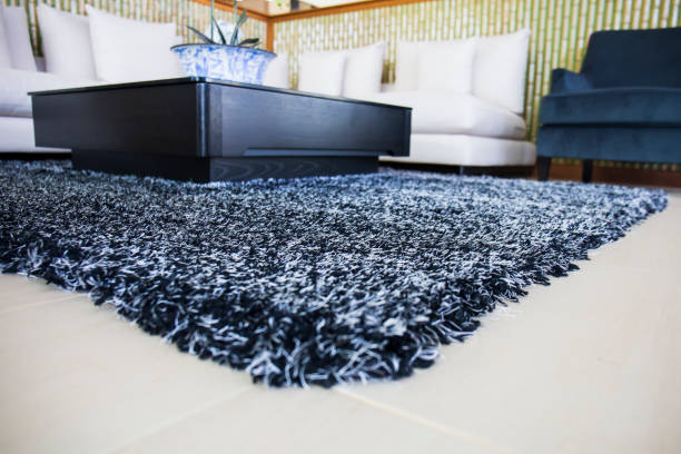 area rug in living room ripl fitness