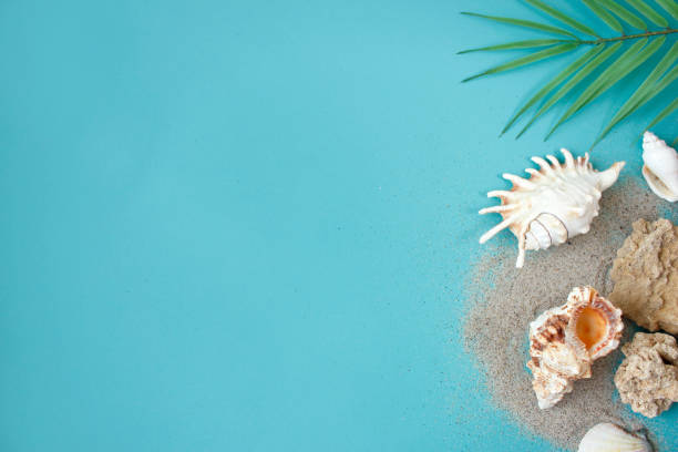 istock Summer composition. tropical palm leaves, seashells on blue background. Summer concept. Flat lay, top view, copy space 1383824537