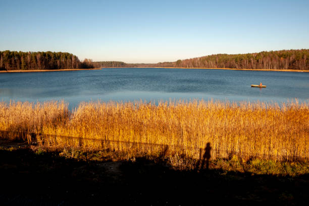 istock Blue river slow flowing across the fall forest with reflections of  trees such as pine, birch, larch and grass in the water. Autumn with blue sky above. Yellow, brown colors 1383824592