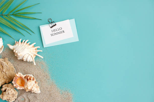 istock Summer composition. tropical palm leaves, seashells on blue background. Summer concept. Flat lay, top view, copy space 1383826029