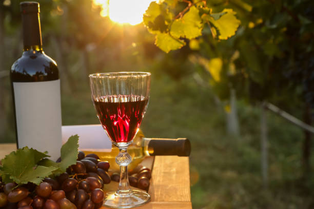 istock Composition with wine and ripe grapes on wooden table in vineyard 1383826685