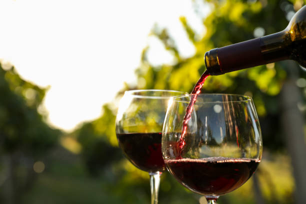 istock Pouring wine from bottle into glass in vineyard, closeup 1383827507