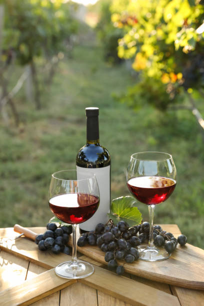 istock Composition with wine and ripe grapes on wooden table in vineyard 1383827687