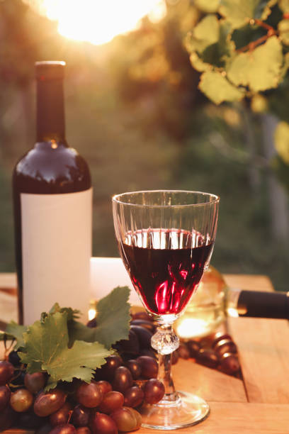 istock Composition with wine and ripe grapes on wooden table in vineyard 1383827688