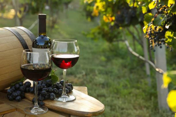 istock Composition with wine and ripe grapes on wooden table in vineyard 1383827689