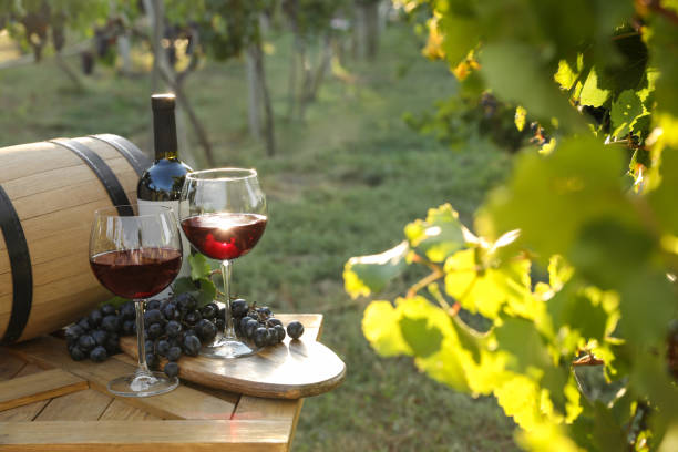 istock Composition with wine and ripe grapes on wooden table in vineyard 1383827856